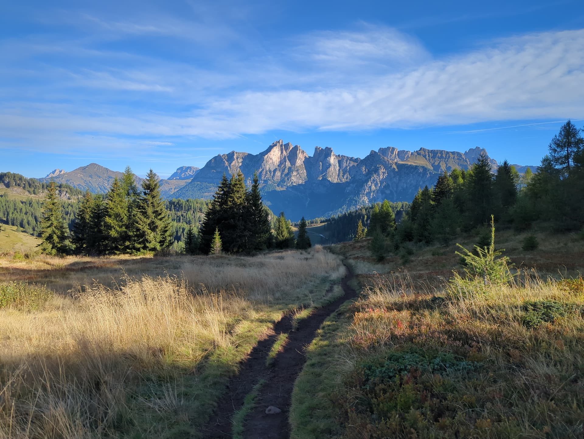 Hiking trail through golden grass toward alpine mountain peaks and pine trees