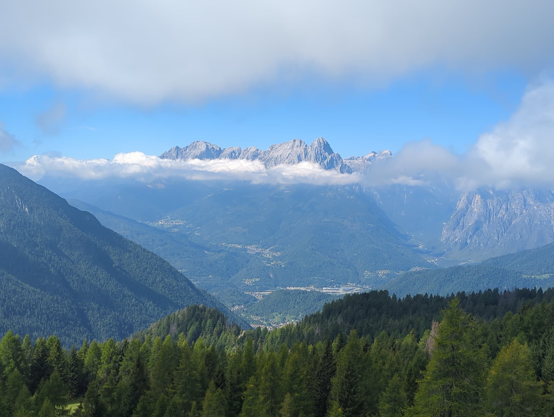Alpine mountain peaks and wide valley under cloudy blue sky with pine forest foreground